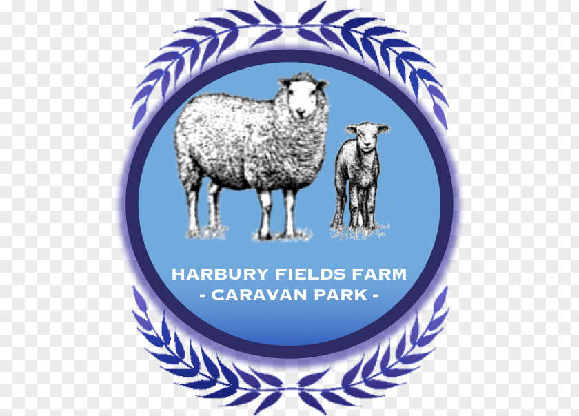 Caravan Park Harbury Fields Farm Sheep Leamington Spa Warwick And PNG
