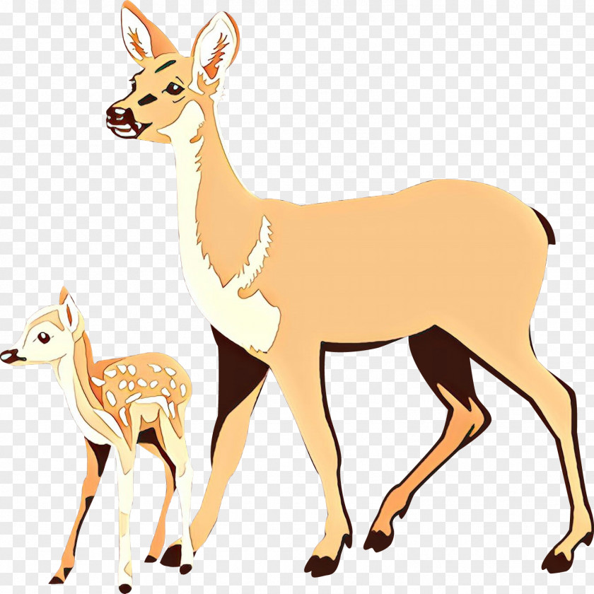 White-tailed Deer Clip Art Illustration Drawing PNG