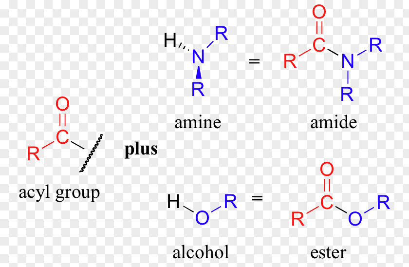 Amide Amine Functional Group Acyl Ester PNG