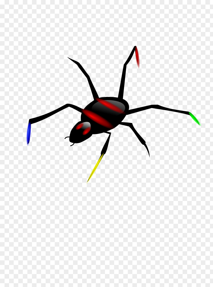Sterilized Insect Viruses Spider Clip Art PNG