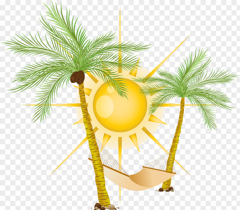 Coco Hammock Vector Sun PNG