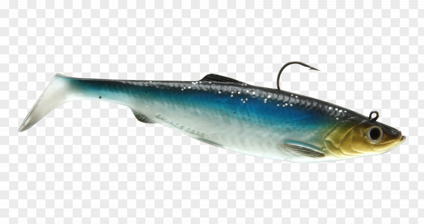 Fishing Sardine Plug American Shad Herring PNG