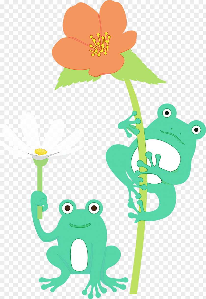 Frogs Cartoon Tree Frog Green Flower PNG