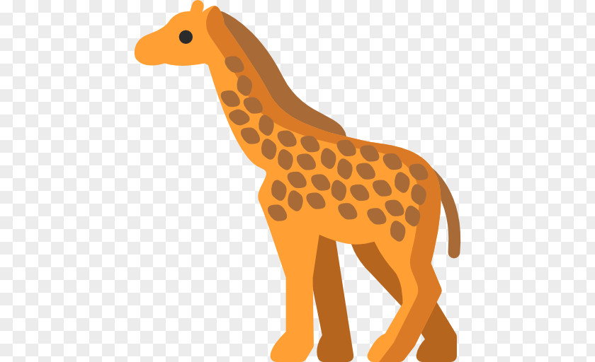 Giraffes Giraffe Cat Mammal Terrestrial Animal PNG