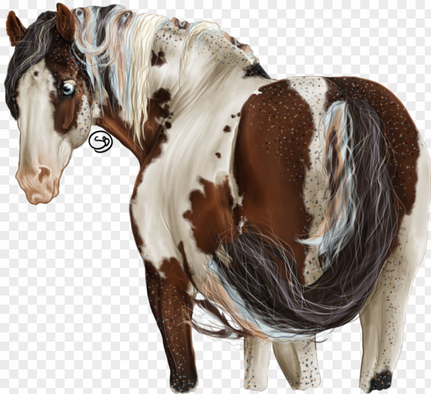 Mustang Mane Marwari Horse Mare Stallion Pony PNG