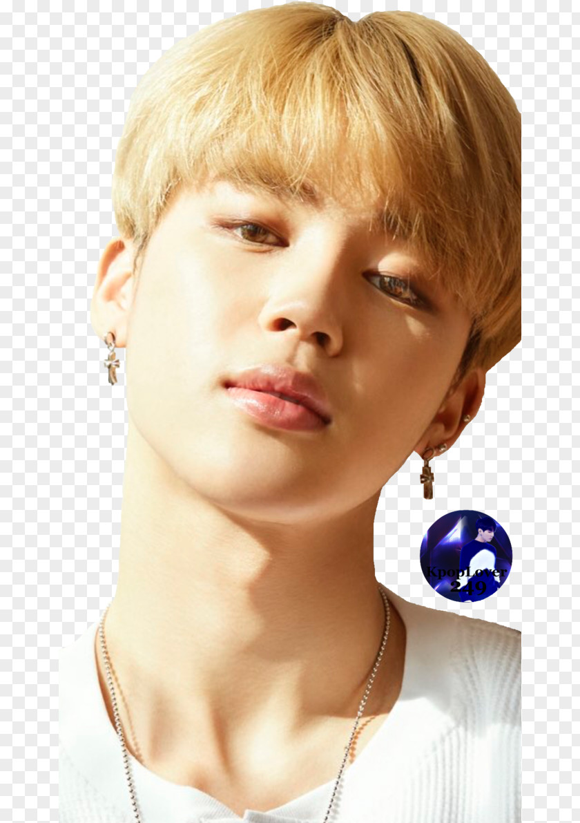 Park Jimin BTS Army Don't Leave Me BigHit Entertainment Co., Ltd. PNG