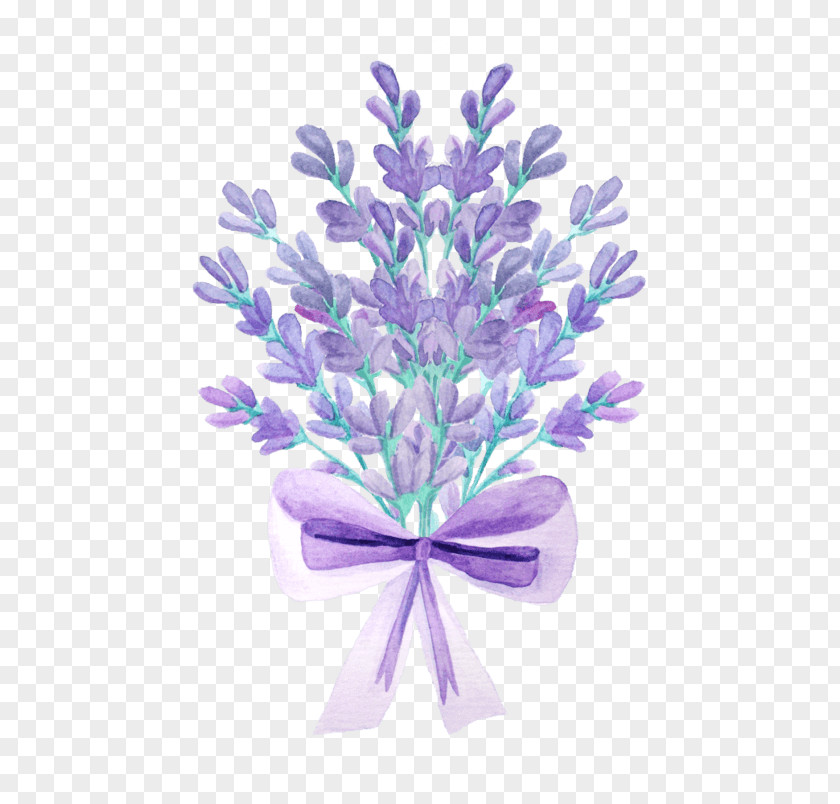 Alfazema Ornament Lavender Image Stock Illustration Royalty-free PNG