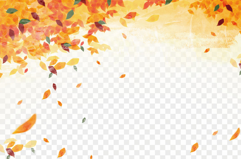 Autumn Leaves Material Leaf Color PNG