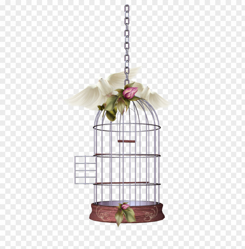 Beautiful Bird Cage Material Free To Pull Birdcage Parrot PNG