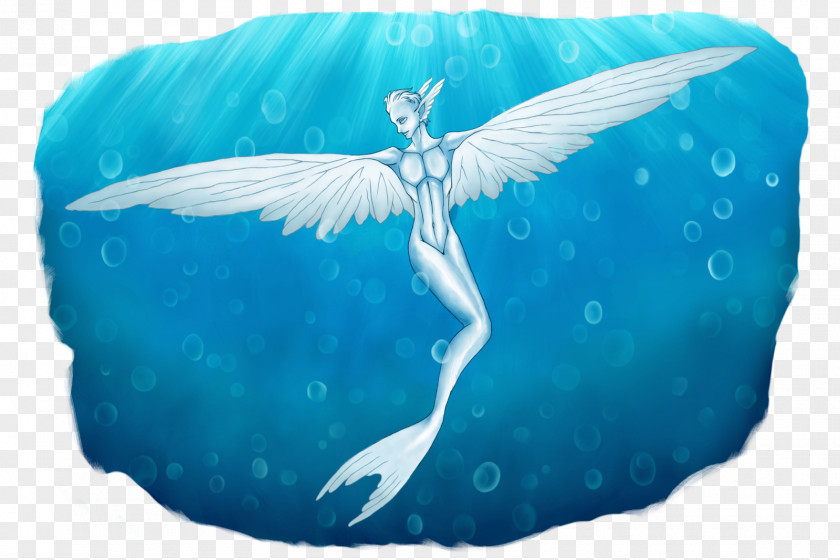 Mermaid Merman Legendary Creature Drawing Siren PNG