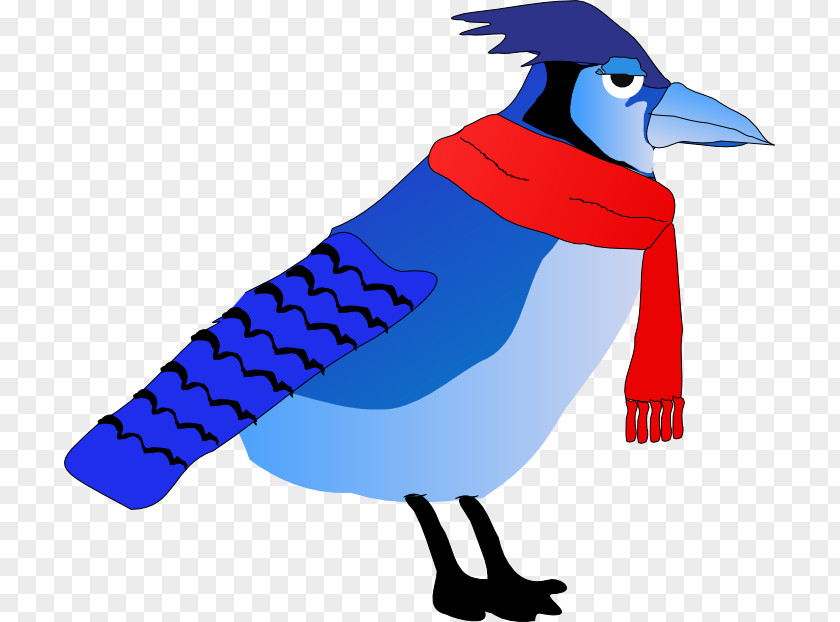 Perching Bird Jay Cartoon PNG