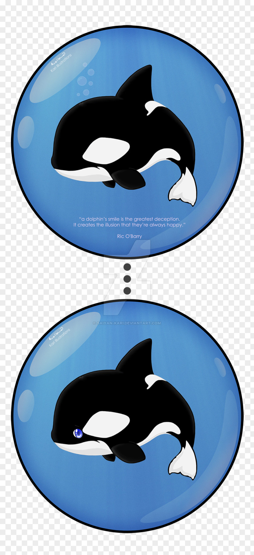 Dolphin Killer Whale Cetacea Clip Art PNG