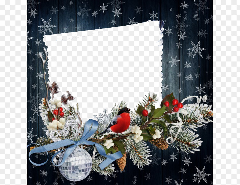 Pine Seeds Snowflake Decoration Material New Year Christmas Holiday Greeting Card Wallpaper PNG