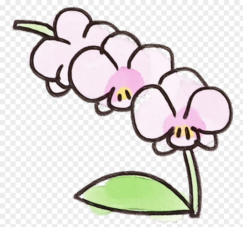 Plant Flower Herbaceous PNG