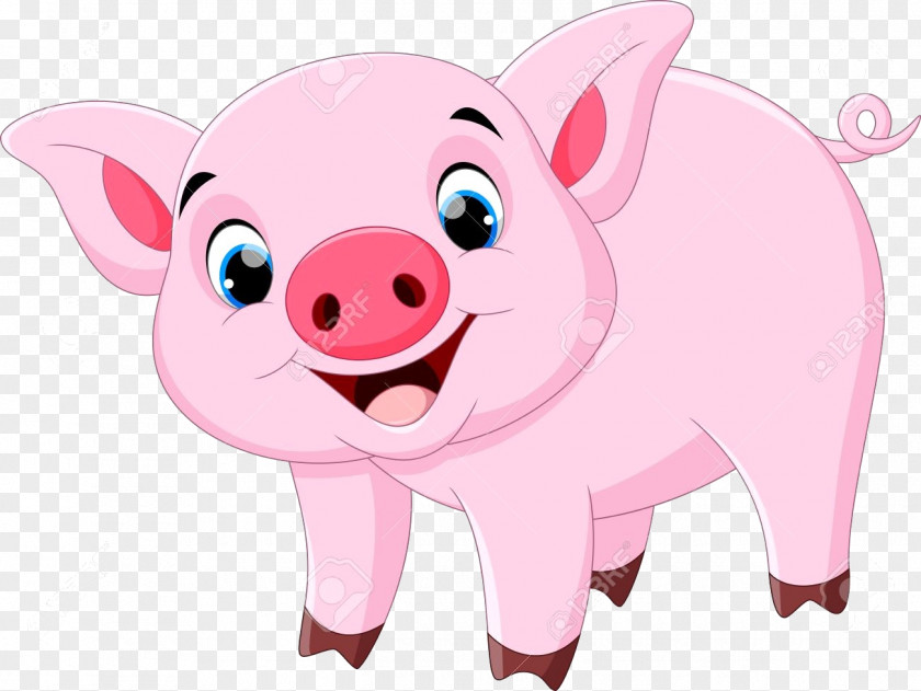 Smile Boar Pig Cartoon PNG