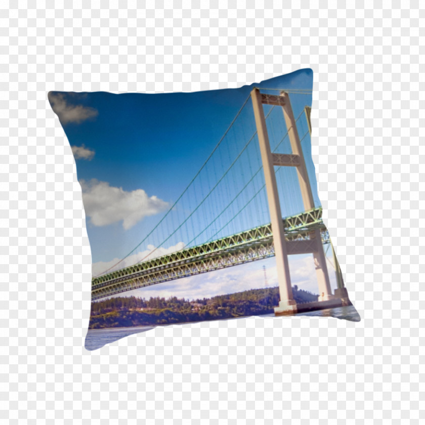 Sturdy Throw Pillows Cushion Rectangle PNG