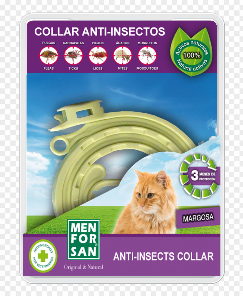 Cat Dog Household Insect Repellents Antiparasitic PNG