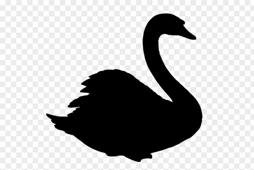 Duck Goose Swans Atlas Pro DJs Image PNG