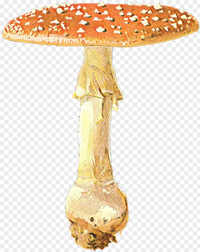 Edible Mushroom Medicinal Fungi Medicine PNG