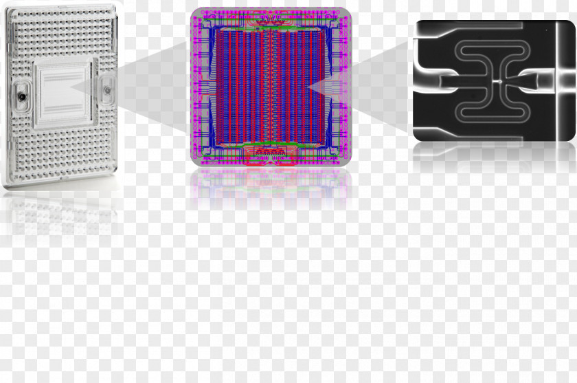 Microfluidics Single-cell Analysis Single Cell Sequencing Fluidigm Corporation Genomics PNG