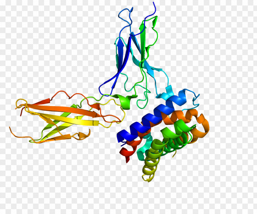 Protein Interferon Type III Interleukin 29 28 Receptor PNG