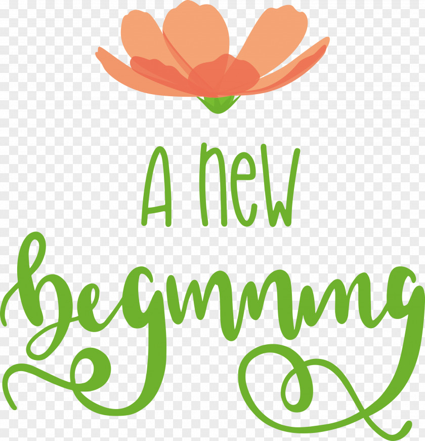 A New Beginning PNG