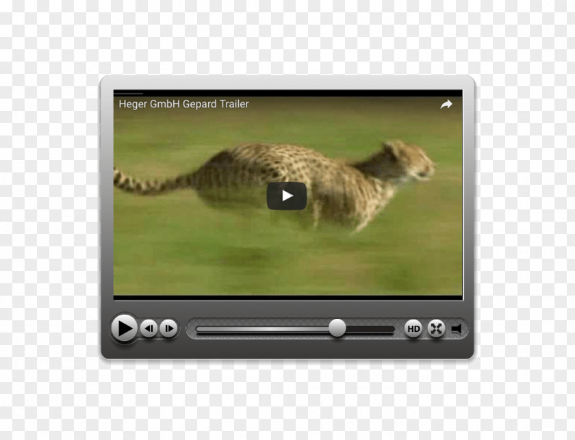 Cat Video Technology Multimedia PNG