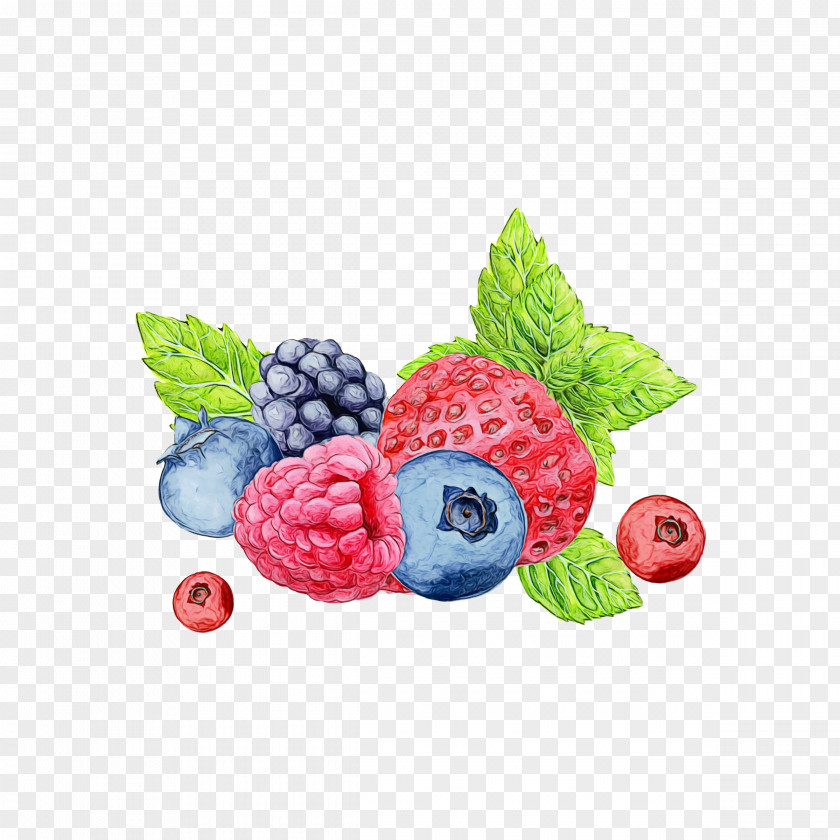 Seedless Fruit Vitis Watercolor Liquid PNG