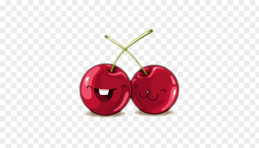 Two Lovely Cherry Material Illustration PNG