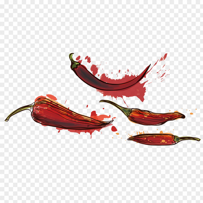 Vector Red Pepper Cayenne Chili Download PNG