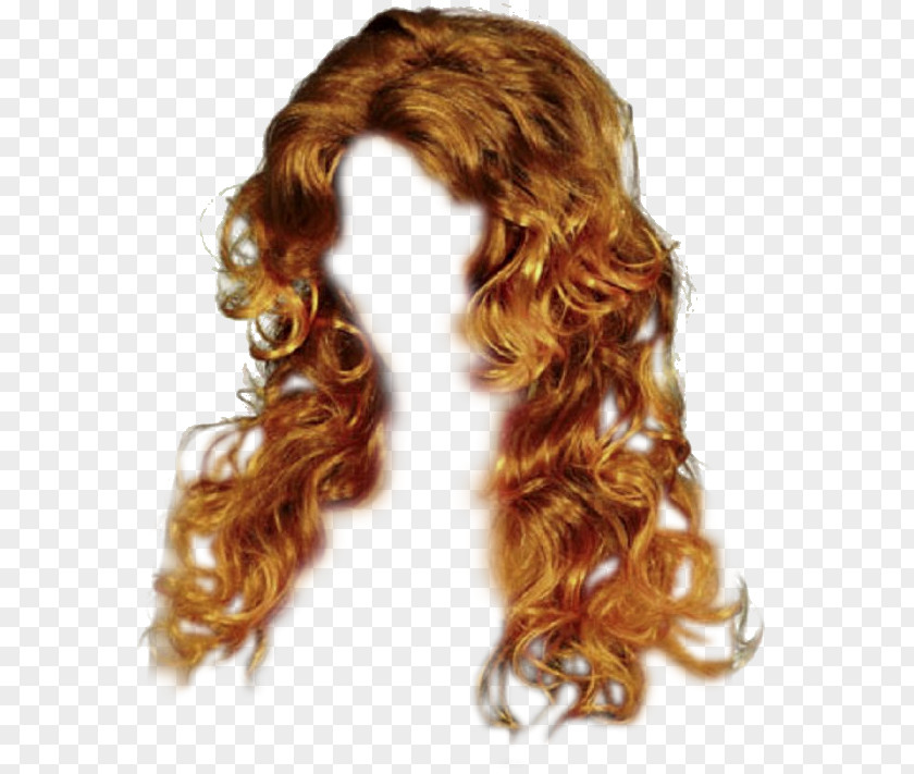 Brown Hair Capelli Wig Long PNG