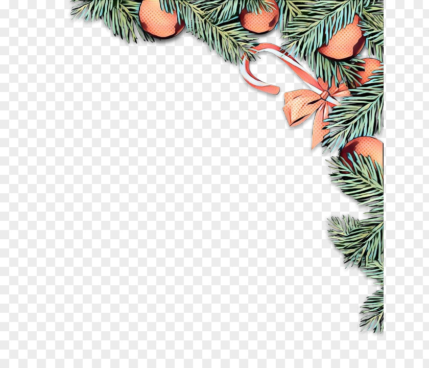 Christmas Decoration Pine Family PNG