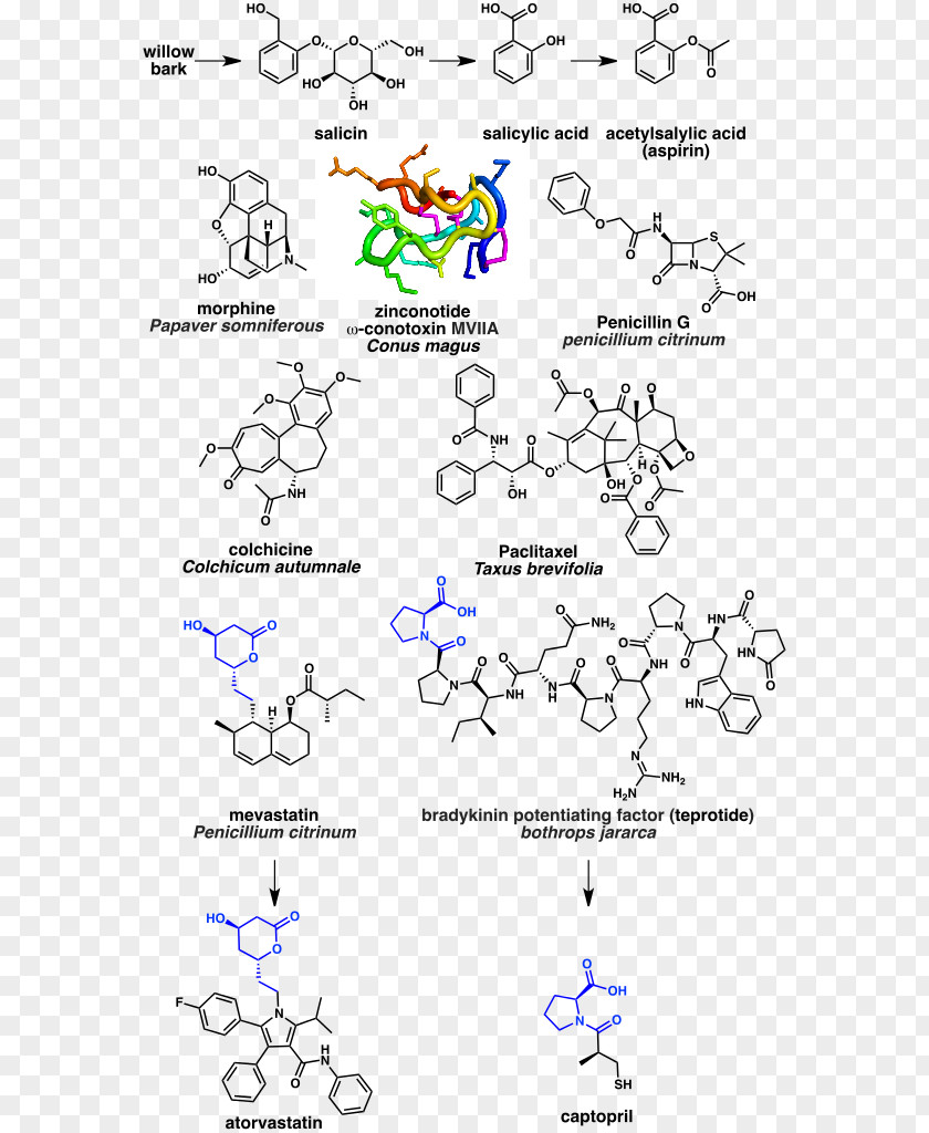 Cocain Natural Product Nature Organic Chemistry Compound PNG
