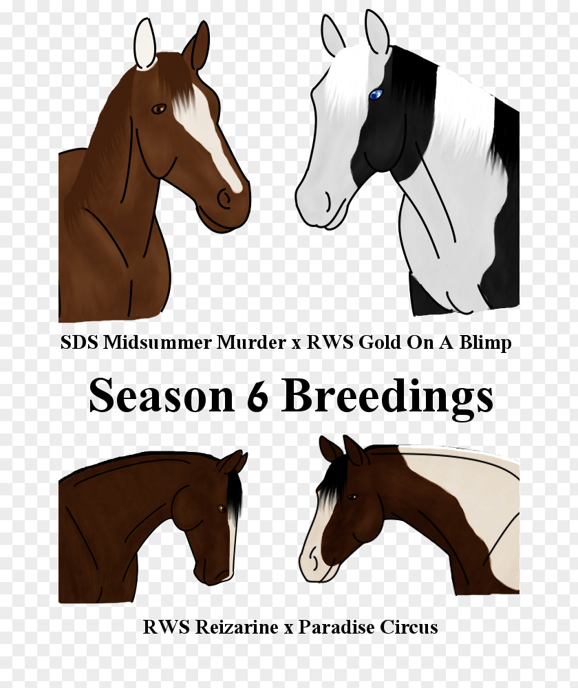 Mustang Stallion Halter Pack Animal Rein PNG