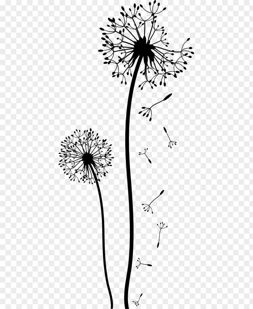 Samphire Dandelion Drawing Sketch Doodle Clip Art PNG