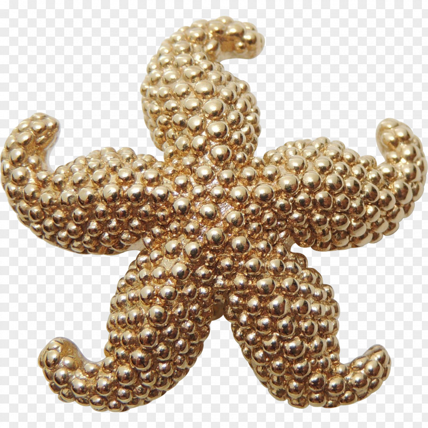 Starfish Jewellery Earring Charms & Pendants Brooch Gold PNG