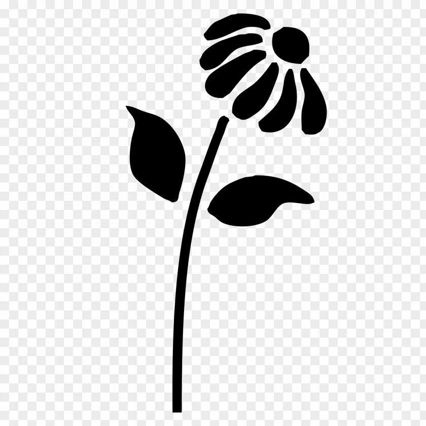 Stencil Painting Mural Flower PNG