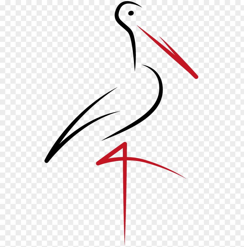 Stork Beak Mutterkuh Drawing Clip Art PNG