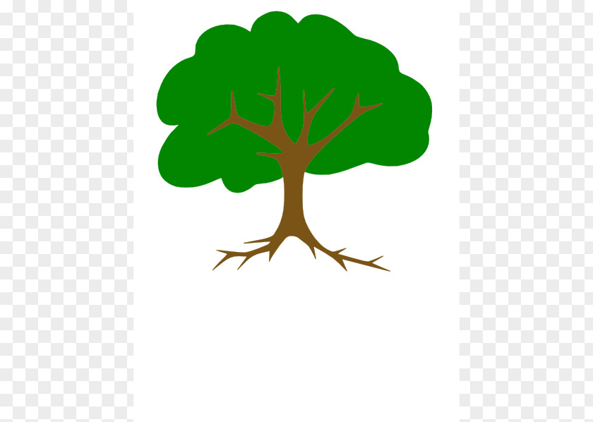 Tree With Roots Clipart Family Root Branch Clip Art PNG