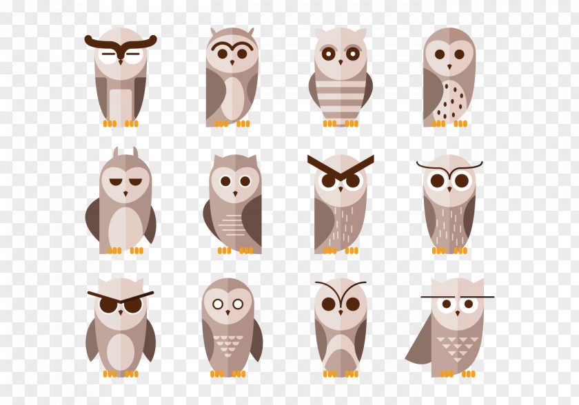 Vector Cute Owl Drawing PNG