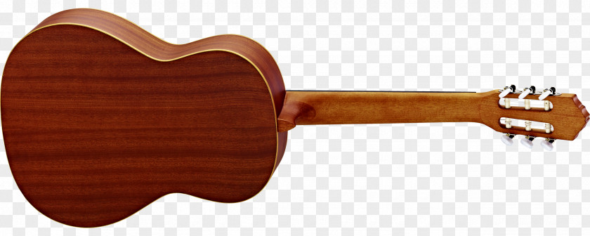 Amancio Ortega Classical Guitar Neck Fingerboard String PNG