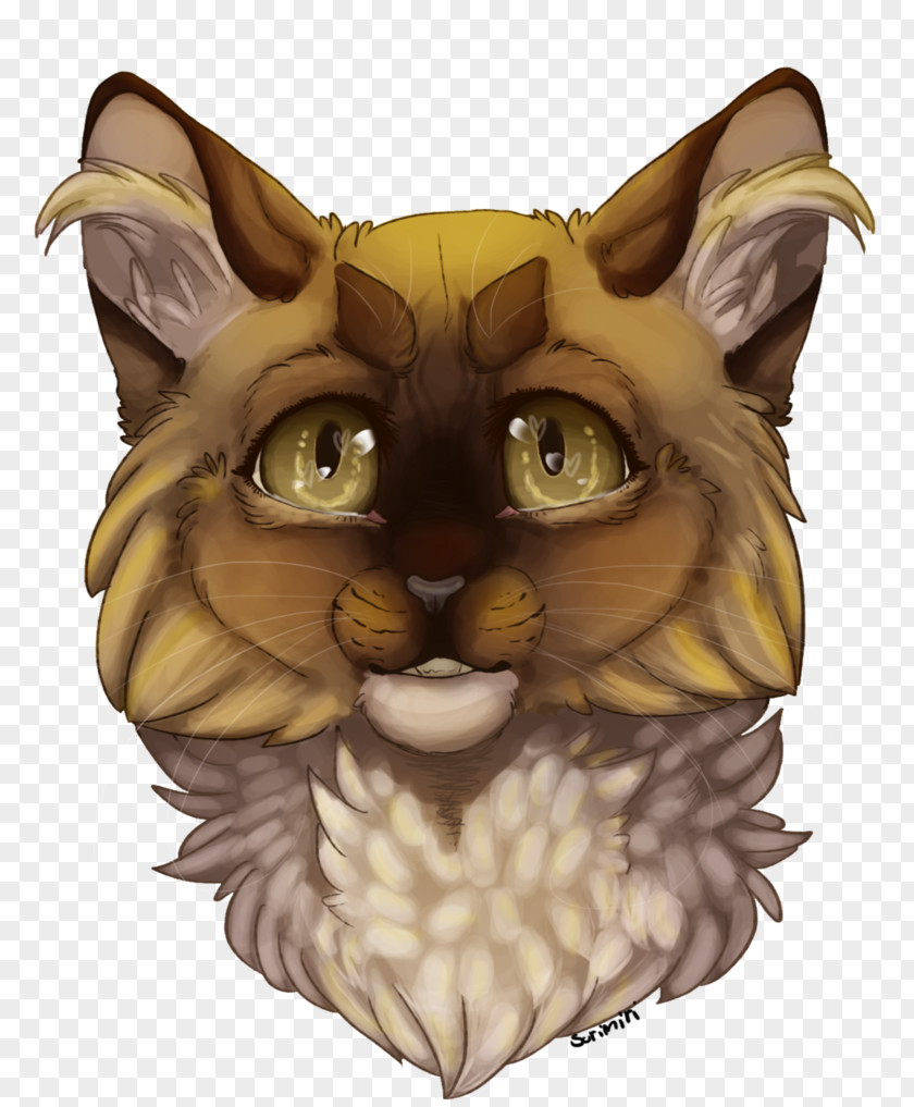Cat Whiskers Illustration Owl Snout PNG