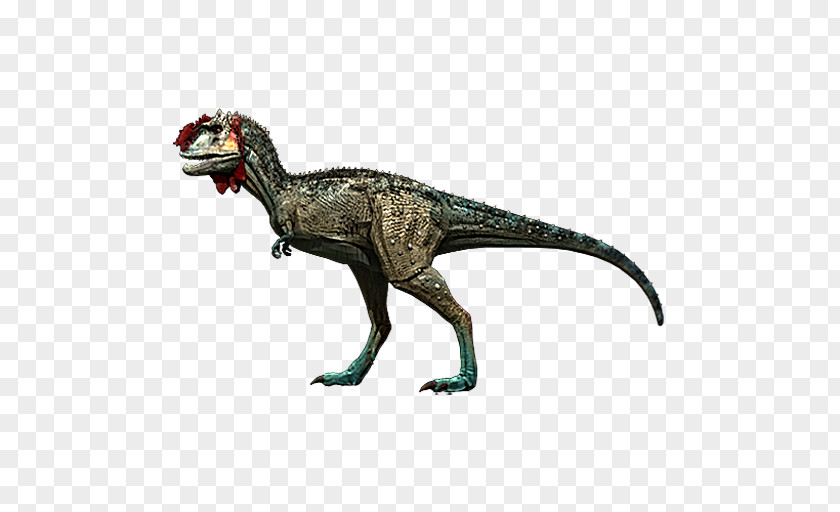 Fighting Tyrannosaurus Majungasaurus Dinosaur YouTube Edmontosaurus PNG