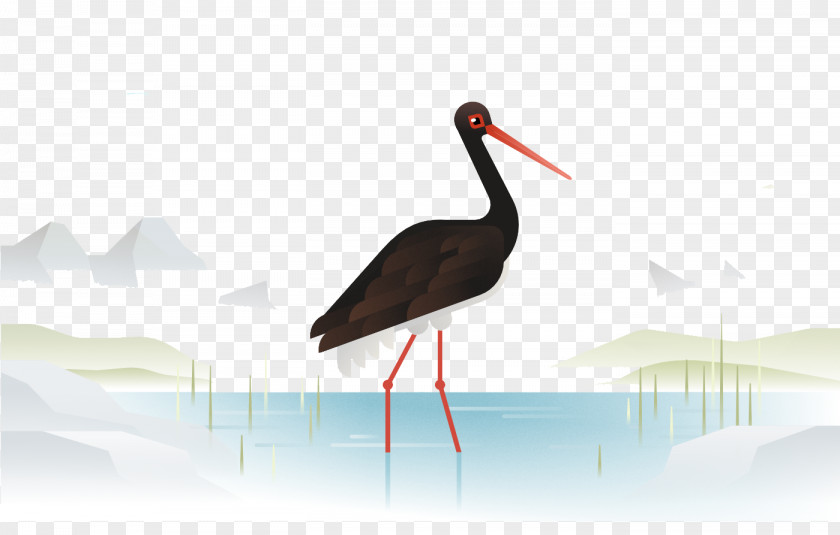 Quiet Environment Black Crane Heron Bird Stork Wader PNG