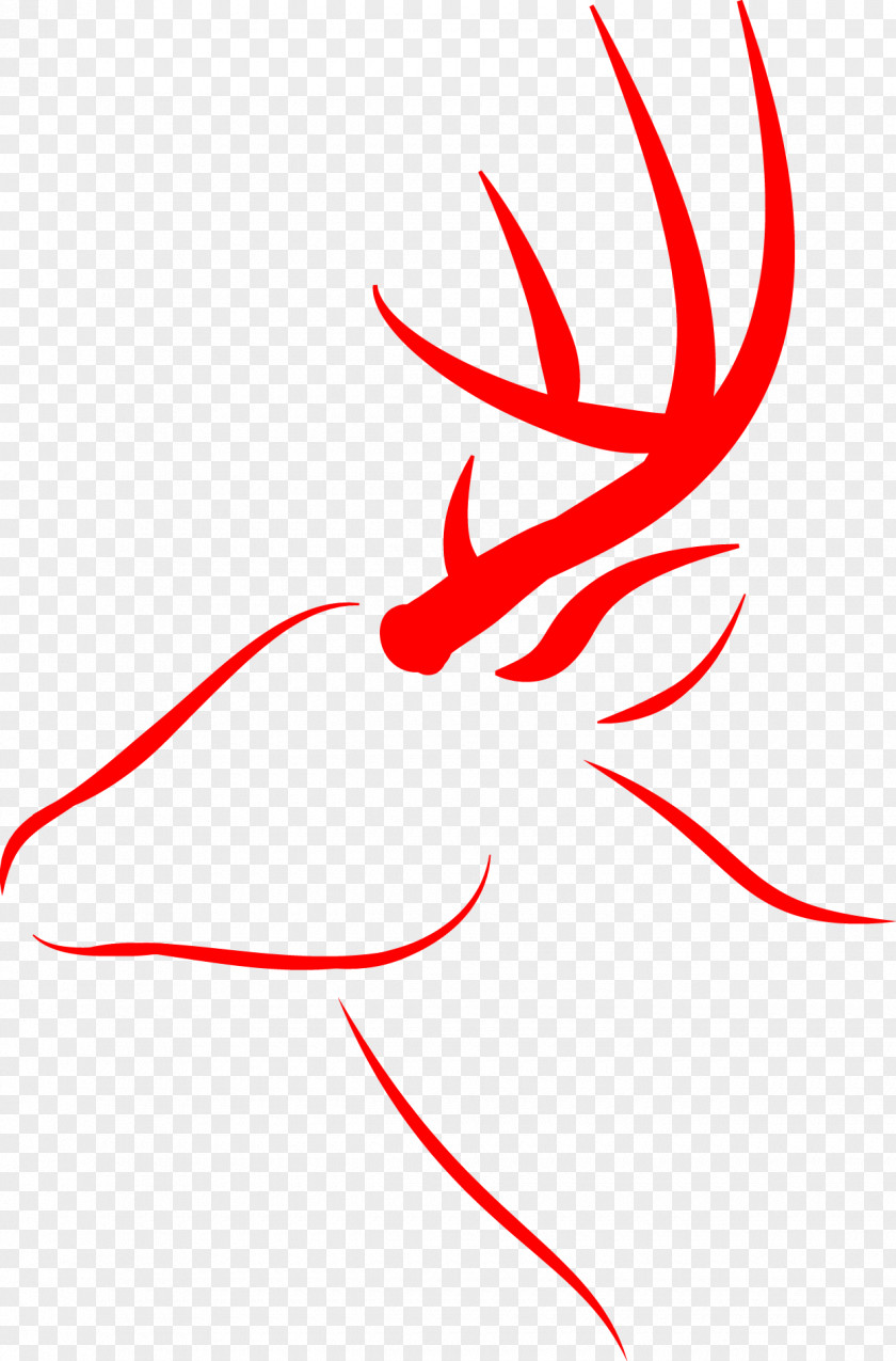 Red Deer Clip Art PNG