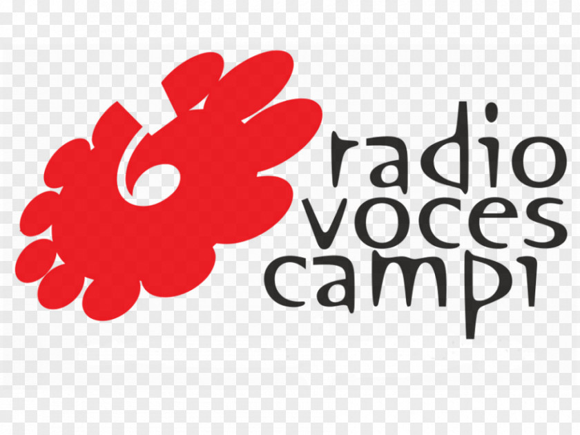 Scampi Radio Voces Campi Clubul Sportiv Municipal Ciocănești Bucharest PNG