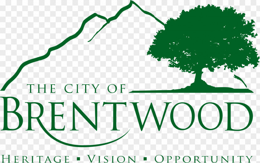 Business Agency Brentwood Martinez Antioch Hayward Benicia PNG