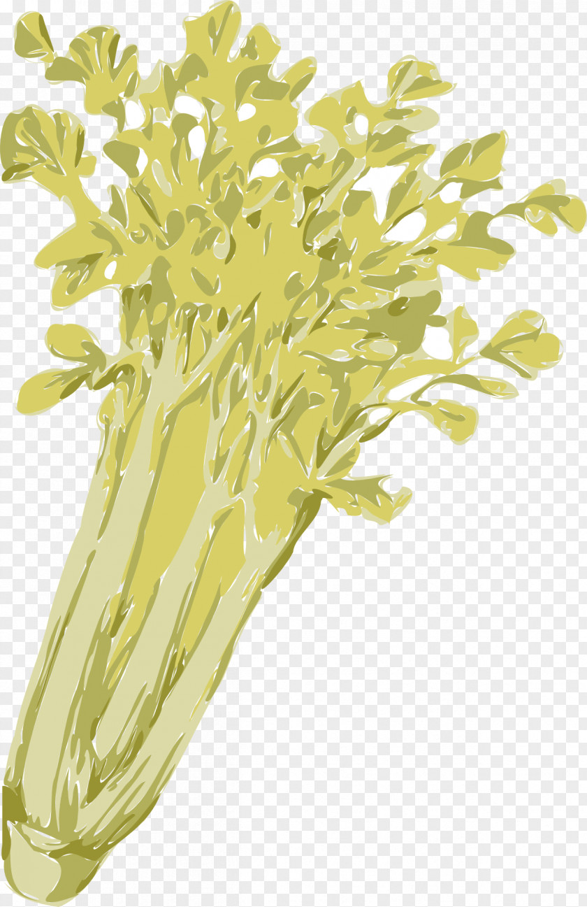 Celery Clip Art PNG