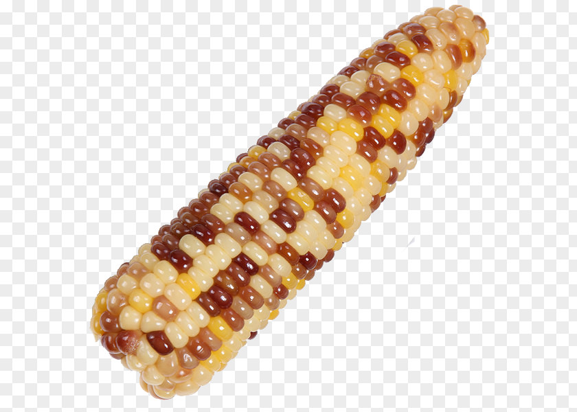 Organic Sweet Corn On The Cob Tea Waxy Food Maize PNG