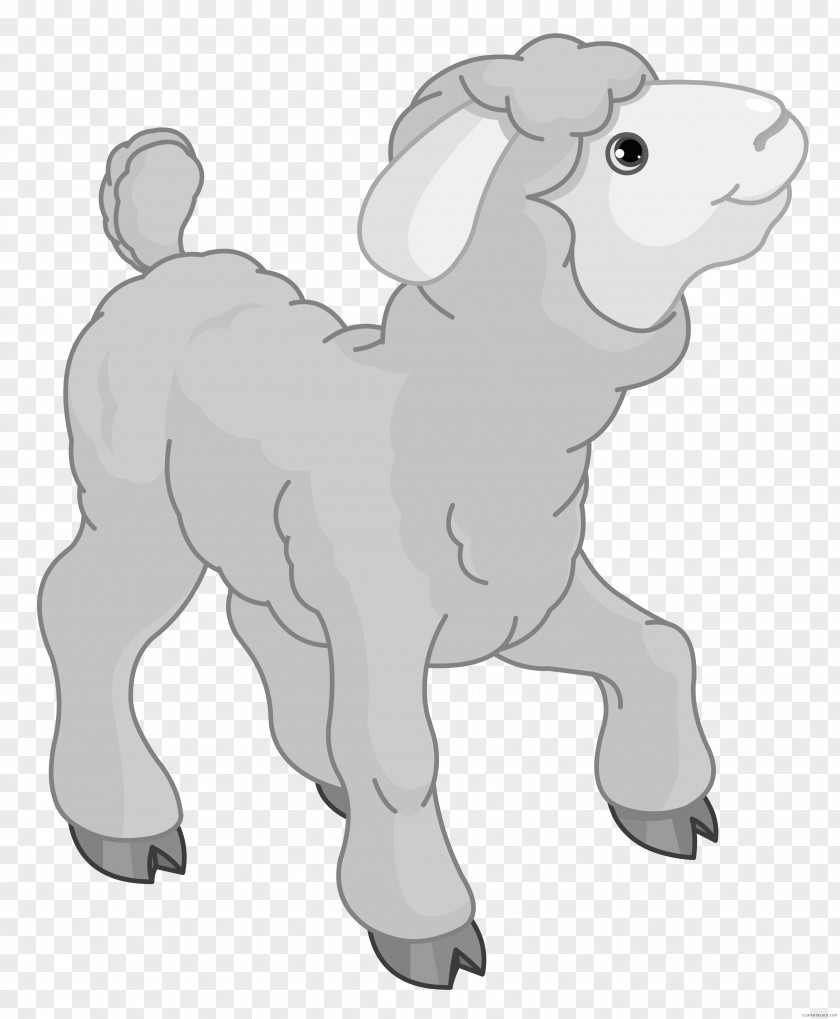 Sheep Clip Art Image Illustration Puppy PNG